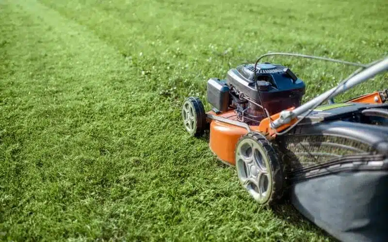 How to Cut Grass Like a Pro Using Incredible Lawn Mowing Patterns